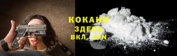 apvp Аша