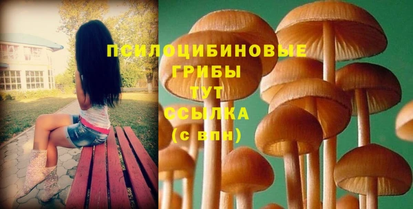 винт Ахтубинск