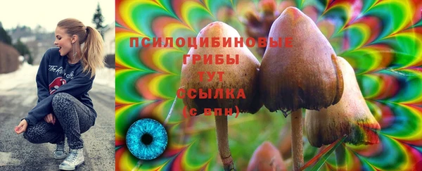 эйфоретик Анжеро-Судженск
