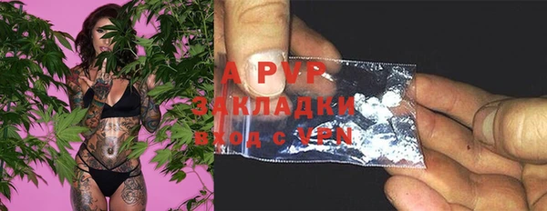apvp Аша