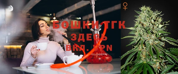 эйфоретик Анжеро-Судженск