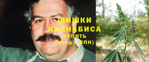 apvp Аша