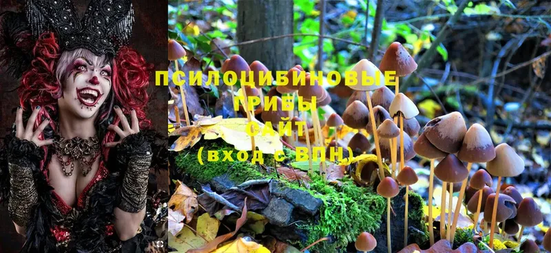 Галлюциногенные грибы MAGIC MUSHROOMS  МЕГА зеркало  Заполярный 