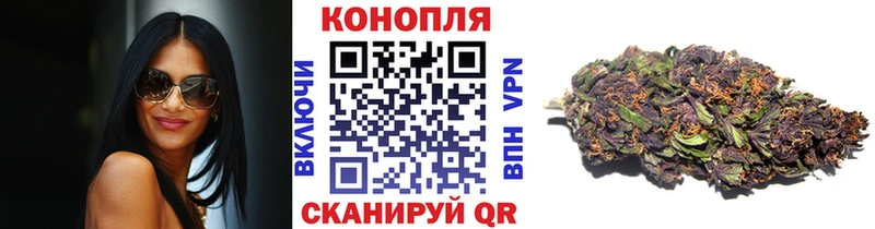 Конопля SATIVA & INDICA  Заполярный 